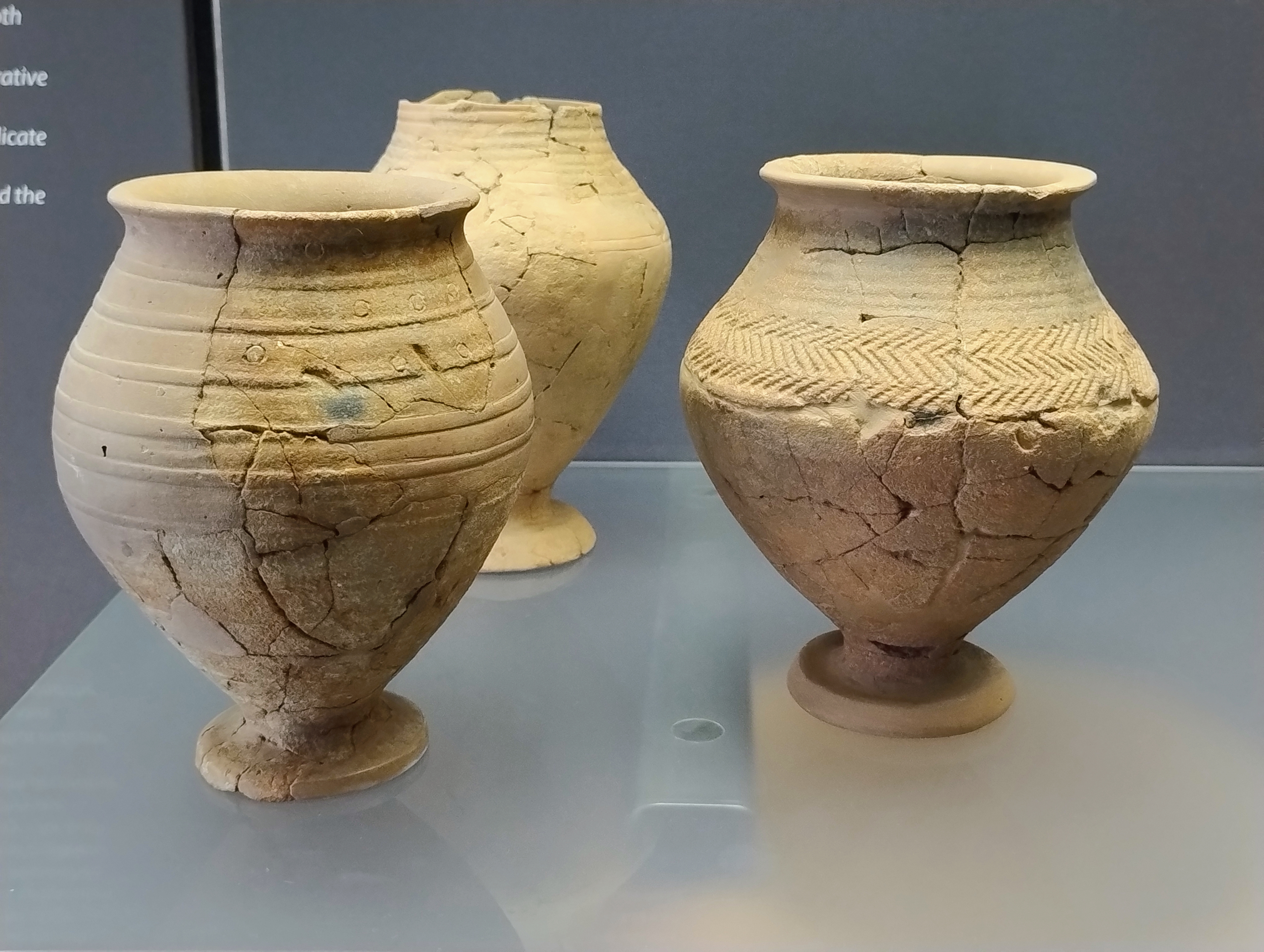 #domenicalmuseo al Parco archeologico di Altino - 2 novembre 2025